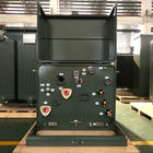 250Kva Single Phase Pad Mounted Transformer Oil Immersed Power Electrical Distribution 4160V